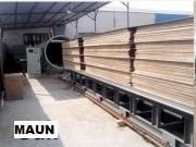 6m3 YÜKSEK FREKANS VAKUMLU KERESTE KURUTMA FIRINI